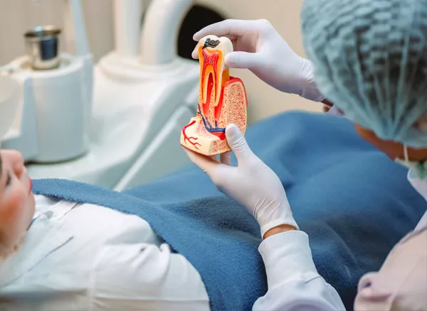 Endodonti (Kanal Tedavi)